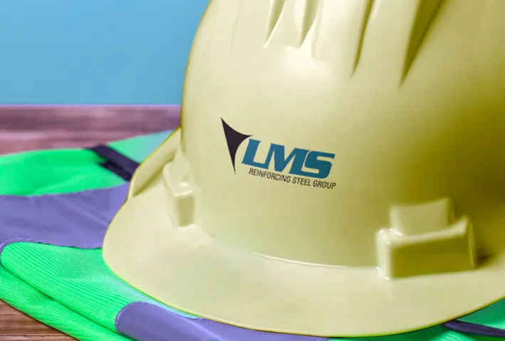 LMS logo design